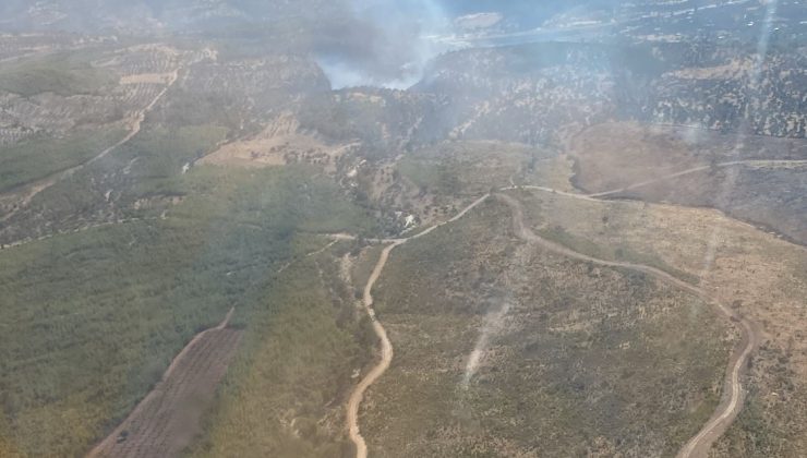 Mersin’de çıkan Orman Yangınına Müdahale Ediliyor