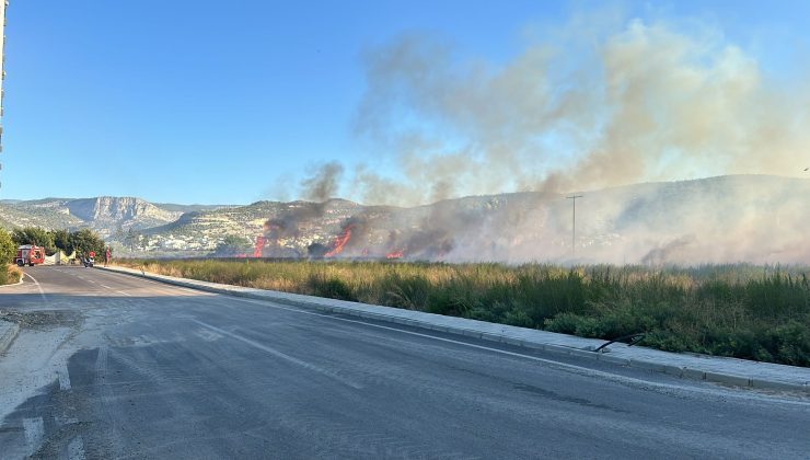 Mersin’de Otluk Alanda çıkan Yangın Söndürüldü