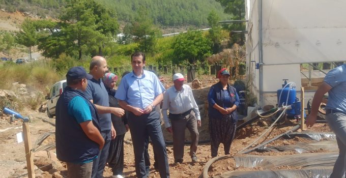 Bozyazı Kaymakamı Tuncay Topsakaloğlu’ndan çilek üreticisine Ziyaret