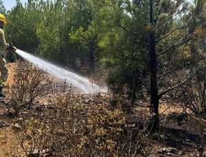 Mersin’de Orman Yangını: Zanlılar Birbirini Suçladı