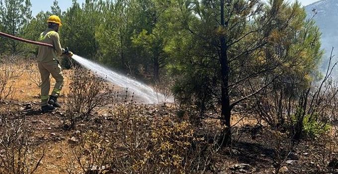 Mersin’de Orman Yangını: Zanlılar Birbirini Suçladı