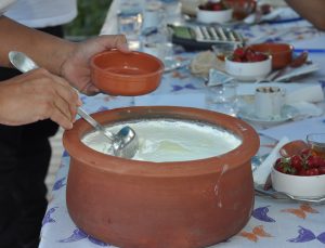 Mersin’de 51. Uluslararası Silifke Müzik Ve Folklor Festivali’nde Yoğurt Yarışması