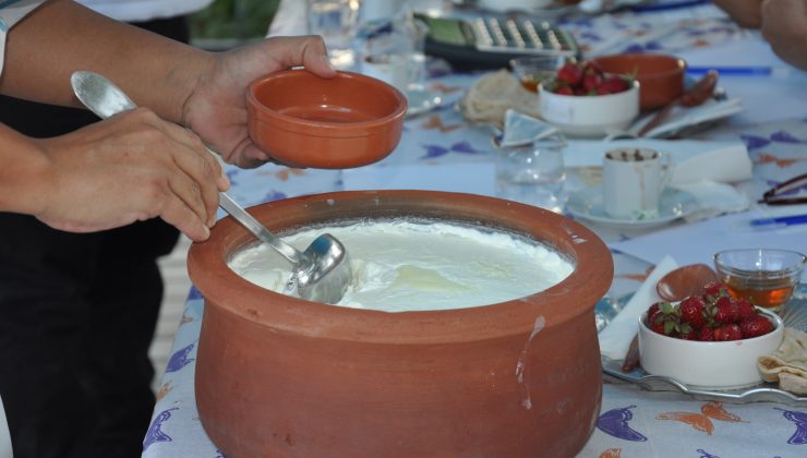 Mersin’de 51. Uluslararası Silifke Müzik Ve Folklor Festivali’nde Yoğurt Yarışması