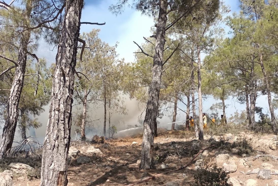 Mersin'de Orman Yangını Kontrol Altına Alındı