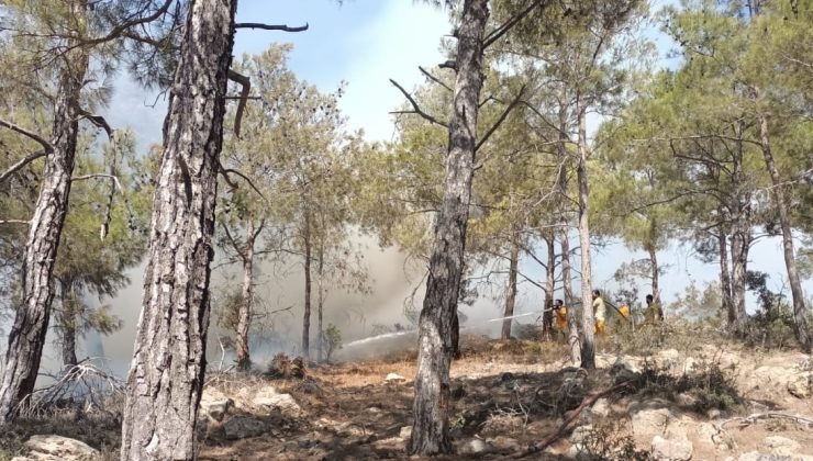 Mersin’de Orman Yangını Kontrol Altına Alındı