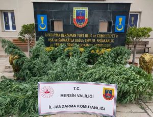 Mersin’de Uyuşturucu Operasyonu: 2 Kilo Esrar Ve 212 Kök Hint Keneviri Ele Geçirildi