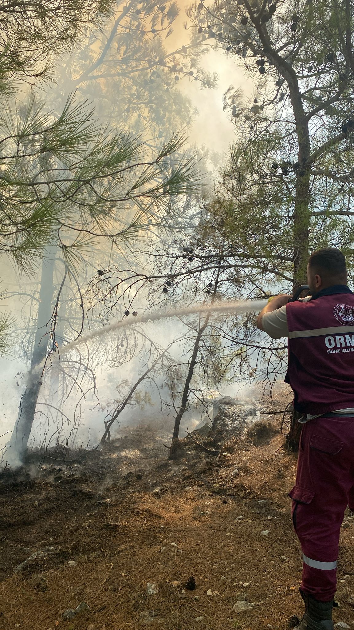 Mersin Silifke'de Orman Yangını Kontrol Altına Alındı