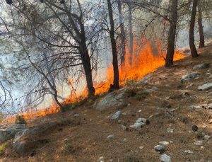 Mersin Silifke’de Orman Yangını Kontrol Altına Alındı