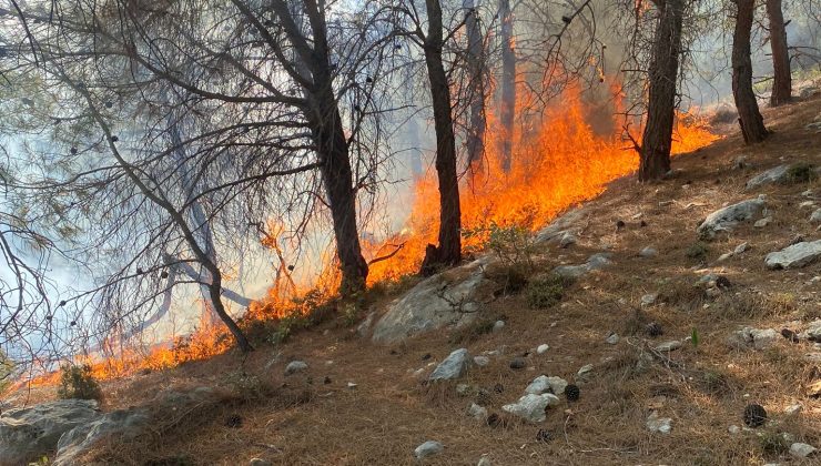 Mersin Silifke’de Orman Yangını Kontrol Altına Alındı