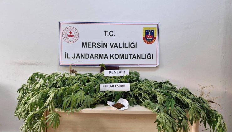 Mersin’de Uyuşturucu Operasyonu: 3 Gözaltı