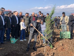 Mersin ve Adana’da 11 Kasım Ağaçlandırma Etkinlikleri