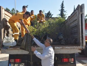 Mersin’de 11 Kasım Milli Ağaçlandırma Günü Etkinliği