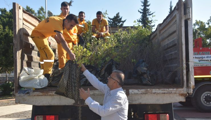 Mersin’de 11 Kasım Milli Ağaçlandırma Günü Etkinliği