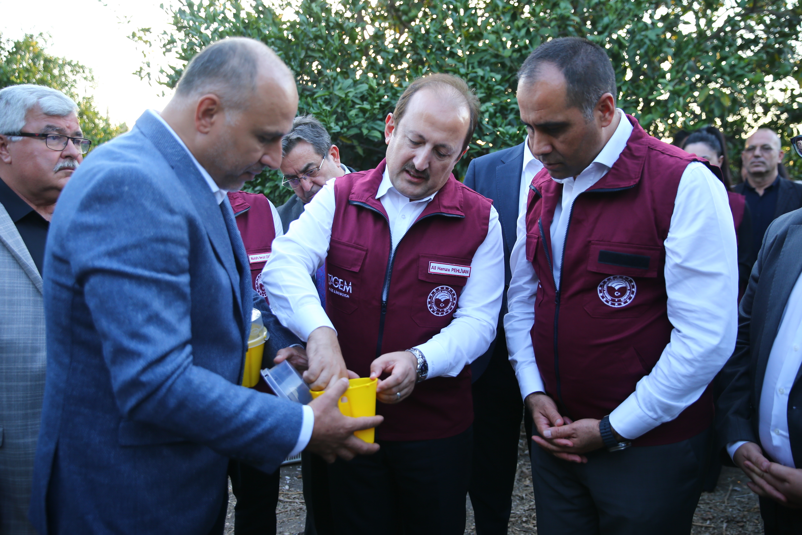 Mersin'de Akdeniz Meyve Sineğiyle Mücadele İçin Tuzak Dağıtımı