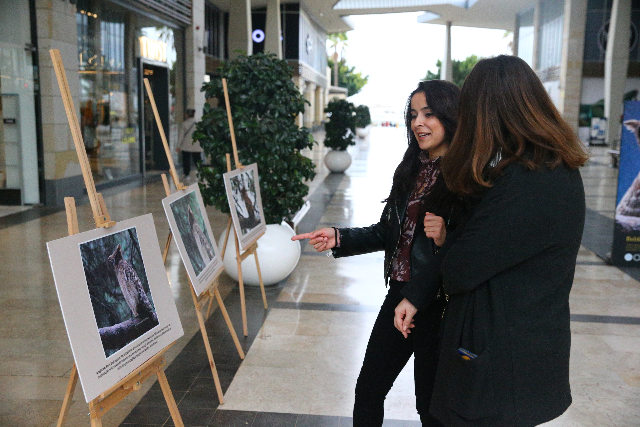 Mersin'de Balık Baykuşu Fotoğraf Sergisi Açıldı