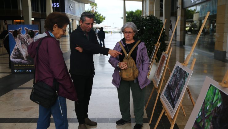 Mersin’de Balık Baykuşu Fotoğraf Sergisi Açıldı