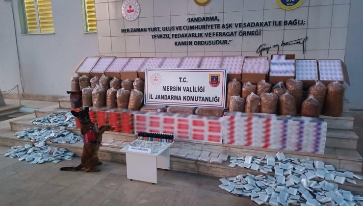 Mersin’de Kaçak Sigara Operasyonu: 208 Bin Makaron Ele Geçirildi